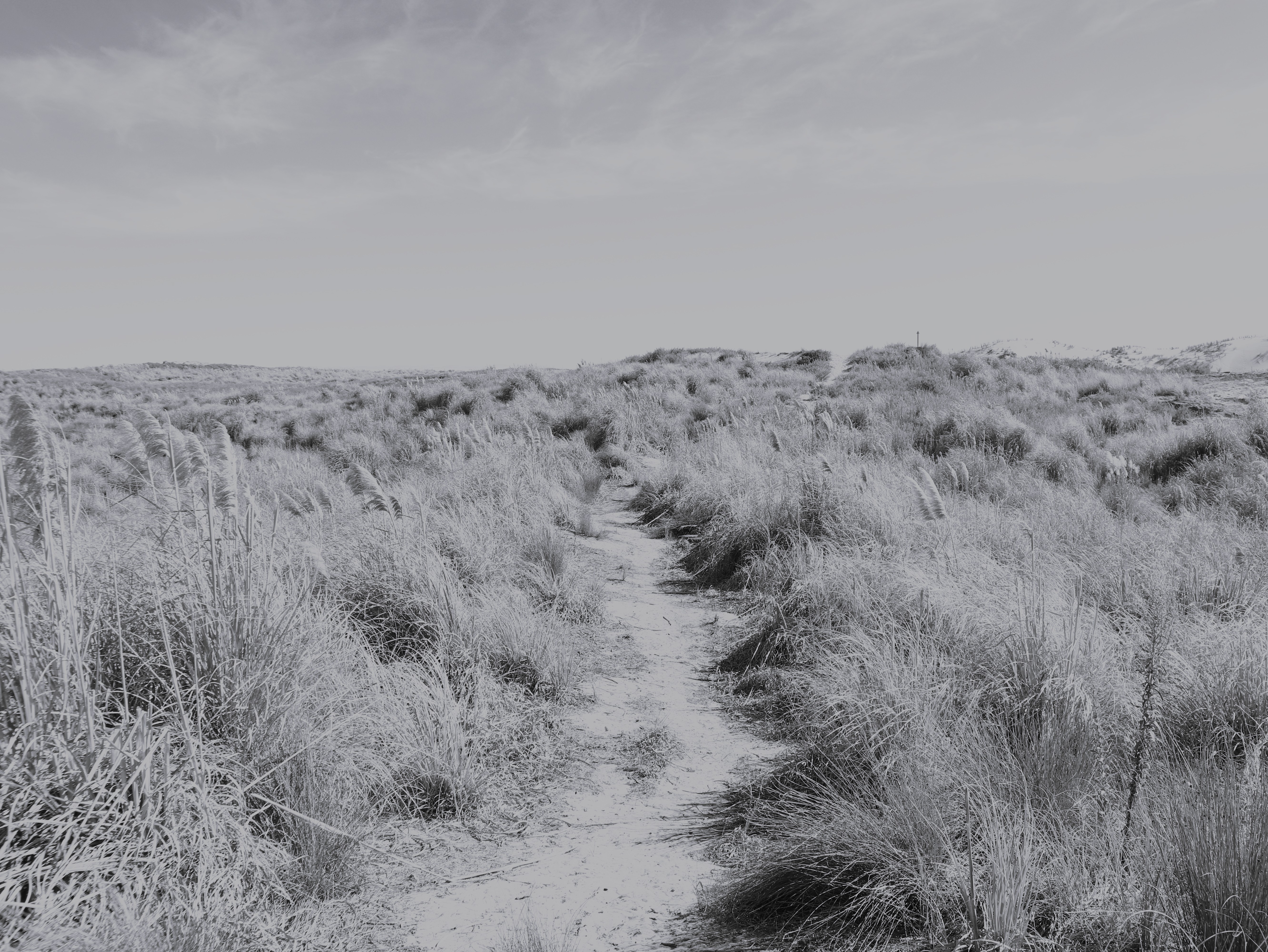 bodaraquelyvalentina